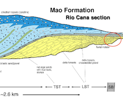 McNeillD_CSL2017_concrection_prosp