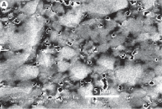 16.McNeill_Concretions