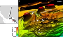 CSL2023_Purkis_Microbialites